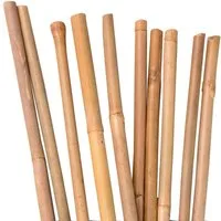 UNUS GARDEN Spalier Bambusstäbe 120 cm, 50 St.