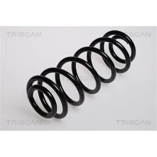 Triscan Feder hinten Audi TT 8N 1,8