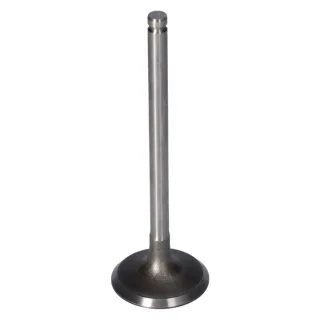 Febi Einlassventil Citroen Peugeot 181650 1,4