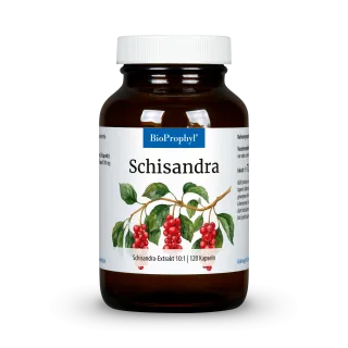 Schisandra