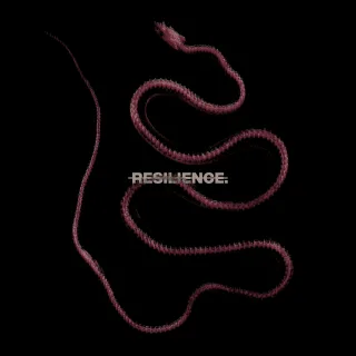 Resilience (Digisleeve)