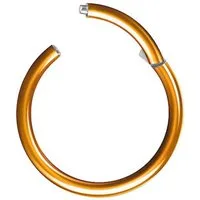 Taffstyle Nasenpiercing Clicker Ohr Universal Piercing Titan G23 oder Chirurgenstahl (Vielseitiger Segmentring aus Titan oder Chirurgenstahl in vielen Farben und Größen), Scharnier Klicker für Septum Ohr Nase Lippe