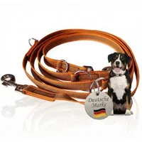 Activity4Dogs Hundeleine für große Hunde, Anti-Slip, 3 m lang, 4-fach verstellbar, TESTSIEGER, rutschfest, Nylon, sehr gut bei Regenwetter, Made in Germany