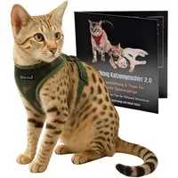 Beroni Geschirr Katzengeschirr für Katze Easy Walking 2.0 ausbruchsicher verstellbar, für große und kleine Katzen, Leine separat erhältlich, nicht über Kopf
