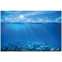 Wallario Wandfolie, Unterwasserwelt Meer, in verschiedenen Ausführungen