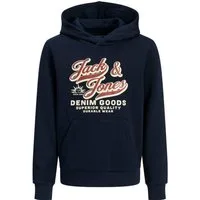 Jack & Jones Junior Sweatshirt JJELOGO SWEAT HOOD 2 COL AW25 JNR