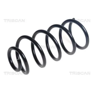 Triscan Feder hinten Nissan Micra K14