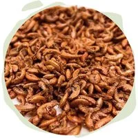 Warnick´s Tierfutterservice Bachflohkrebse "Gammarus" - Naturfutter für Fische & Reptilien, Ergänzungsfutter für: Fische, Reptilien