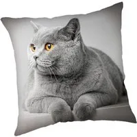 Jerry Fabrics Kissenhülle Katze Kissenbezug 45 x 45 cm