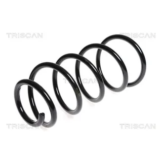 Triscan Feder vorne Citroen Jumpy Peugeot Expert 2,0 875028147