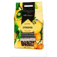 Lechuza® Pflanzgranulat Lechuza Citruspon Pflanzsubstrat für mediterrane