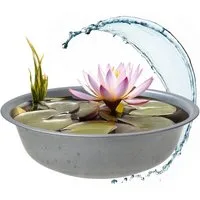 Spetebo Pflanzkübel - Mini Teich Garten Schale (Anzahl, 1 St., Stück), wetterfestes und robustes Material