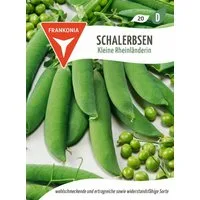 FRANKONIA Gemüsesamen Schalerbse, Kleine Rheinländerin - Erbsen-Samen Saatgut Samen, Pisum sativum