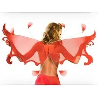 Roma Costumes Kostüm-Flügel Engelsflügel rot (Sonderposten)