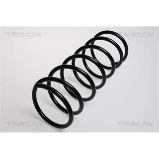 Triscan Feder vorne Citroen Berlingo Peugeot Partner 1,8