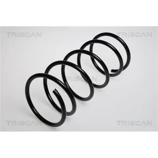 Triscan Feder vorne Peugeot 206 206+
