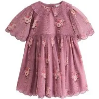 Next Partykleid Kurzärmeliges Festkleid mit Spitzenkragen (1-tlg)