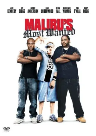 Malibu's Most Wanted [DVD] [2004]