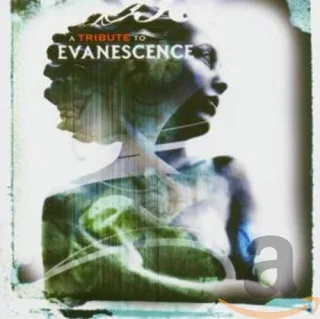A Tribute to Evanescence