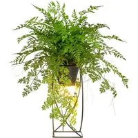 Kunstpflanze Farn als Dekostandleuchte, Creativ green, Höhe 60 cm, mit LED-Beleuchtung