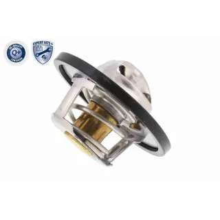 Ackoja Thermostat Alfa Austin Ford Hyundai Kia Mitsubishi Opel Volvo
