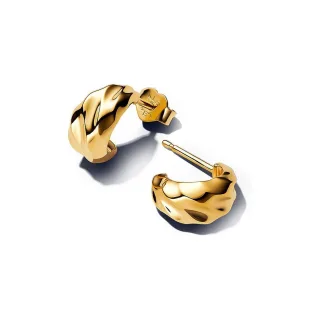 Pandora Creolen Essence 263873C00