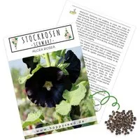HappySeed Blumensamen Stockrosen Samen - Alcea Rosea (Schwarz), Rosen