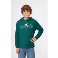 Champion Kapuzensweatshirt Graphic Terry Hoodie mit Kapuze, Langarm, gerader Abschluss, aus Baumwolle und Polyester