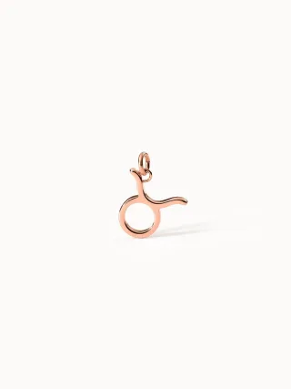 PURELEI Stier Zodiac Charm