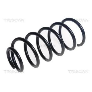 Triscan Feder hinten Opel Corsa D 875024218