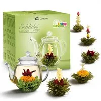 Creano Tee Geschenkset Erblühtee mit Glaskanne Grüner Tee fruchtig aromatisiert, 1 x 1 St.