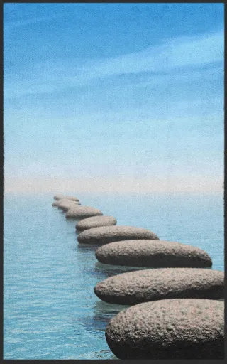 Fussmatte 7573 | Größe: 60 cm x 90 cm