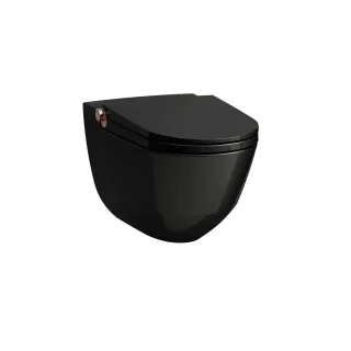 LAUFEN Dusch-T-WC wandh. RIVA 600x355x405 rim. sch gl m. Controller Rosegold gl, H8206910240001 H8206910240001