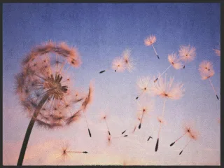 Fussmatte Pusteblume 4993 | Größe: 60 cm x 45 cm