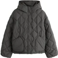 Next Steppjacke Leichte Steppjacke (1-St)