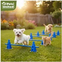 all Pets United Trainingshilfe All Pets United Trainingsset Hund & Kinder, Hunde Sport & Lernhilfe