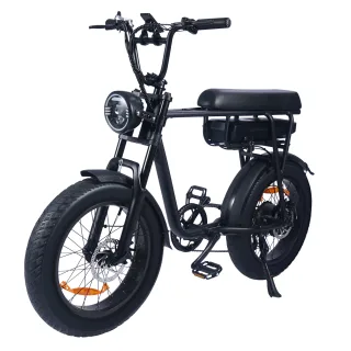 [EU DIRECT] YAMALI FXH-006 Electric Bike 48V 18Ah Battery 350W Motor Recommended Top Speed 25KM/H 20inches Tires 45-50KM