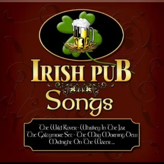 Irish Pub Songs [Audio CD] Various