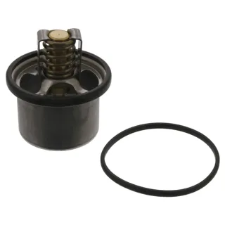 Febi Thermostat  11496