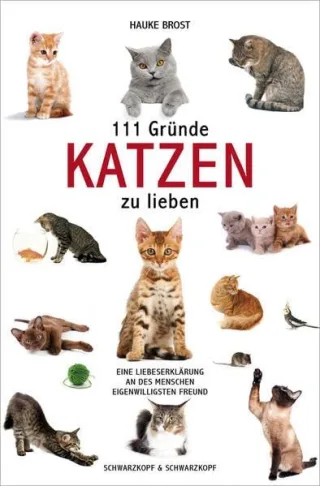 111 Gründe Katzen zu lieben: Eine Liebeserklärung an des Menschen eigenwilligsten Freund