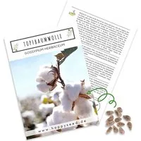 HappySeed Blumensamen Topfbaumwoll Samen - Gossypium Herbaceum, Blumen