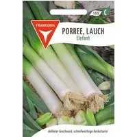 FRANKONIA Gemüsesamen Porree - Lauch, Elefant - Porree-Samen Saatgut Samen, Allium porrum