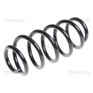 Triscan Feder hinten Toyota Avensis T27 875013172