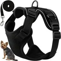 Purlov Hunde-Geschirr Druckfreies Geschirr Laufgeschirr XS / S, Polyester, Reflektierende Elemente erhöhen die Sichtbarkeit bei Dunkelheit