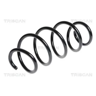 Triscan Feder vorne VW Caddy Tiguan 875029255