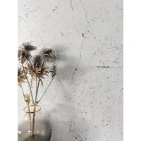 Newroom Vliestapete Jawara Light Grey Tapete Betonoptik Beton,Zement, Grau Tapete Modern Beton - Betonoptik Betonwand Hellgrau Industrial Bauhaus Zement für Wohnzimmer Schlafzimmer Küche, Betonwand