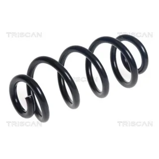 Triscan Feder hinten Audi A4 A5 2,0