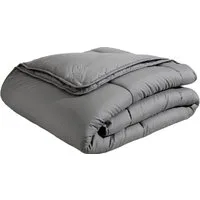 OTTO home Microfaserbettdecke Clarra, Bettdecke 135x200 cm, 155x220 cm, 200x200 cm, Füllung: Polyester, Bezug: Polyester, Bettdecken in grün & grau, Sommer, Winter, 4 Jahreszeiten, Decke