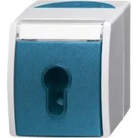 Schlüsselschalter Aufputz mit Schlüssel, 1-polig, 10 Ampere, IP44, Typ 2733 SLW-53 Retail