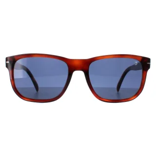 David Beckham DB1045/S WR9 KU schildpattblaue Sonnenbrille